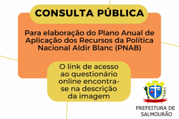 CONSULTA PÚBLICA